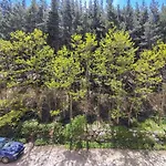 公寓 Panorama 班斯科