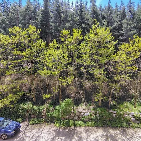 Apartament Panorama Bansko
