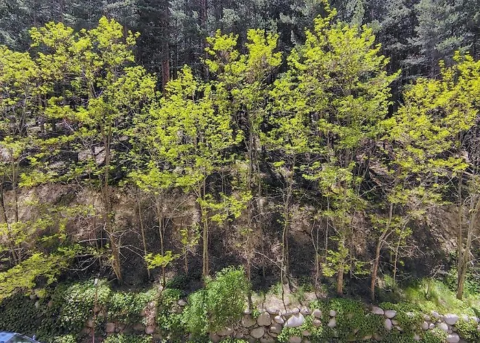 Apartment Panorama Bansko